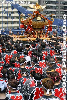 Keywords: tokyo koto-ku fukagawa hachiman matsuri festival mikoshi portable shrine wet water splash bridge
