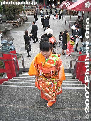 7-year-old girl in kimono on the bridge. Many kids in kimono visit shrines in Nov. when they reach age 3 (girls), 5 (boys), or 7 (girls).
Keywords: tokyo koto-ku kameido tenjin shinto shrine chrysanthemum flower festival autumn fall girl kimono