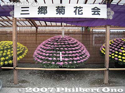 Half domes
Keywords: tokyo koto-ku kameido tenjin shinto shrine chrysanthemum flower festival autumn fall