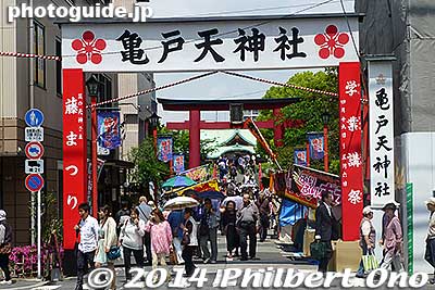 Kameido Tenjin (Tenmangu) Shrine Wisteria Festival is held in late April to early May. Entrance to Kameido Tenjin Shrine.
Keywords: tokyo koto-ku Kameido tenjin Tenmangu Shrine Wisteria Festival fuji matsuri flowers