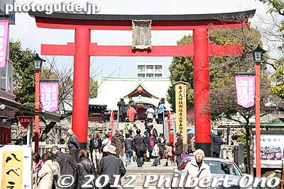 Many students hoping to pass school entrance exams come to pray here. In Feb. and March, numerous plum blossoms bloom in white, red, and pink.
Keywords: tokyo koto-ku kameido tenmangu tenjin shrine jinja torii