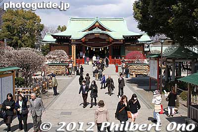 Kameido Tenjin is one of the thousands of Tenmangu/Tenjin shrines in Japan that worship the famous Japanese scholar Sugawara Michizane (845–903) deified as Tenjin, the god of learning and scholarship. 
Keywords: tokyo koto-ku kameido tenmangu tenjin shrine jinja plum blossoms ume flowers