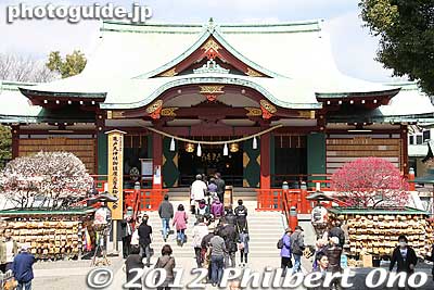 Kameido Tenjin Shrine main worship hall. Notice the red and white plum blossoms on both sides.
Keywords: tokyo koto-ku kameido tenmangu tenjin shrine jinja plum blossoms ume flowers