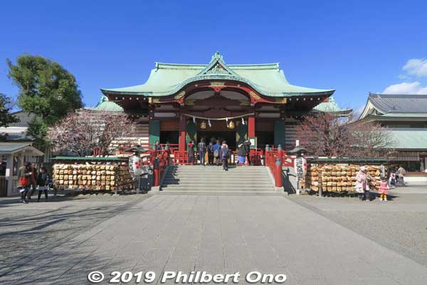 Kameido Tenjin Shrine main worship hall in Feb. 2019.
Keywords: tokyo koto-ku kameido tenmangu tenjin shrine jinja plum blossoms ume flowers