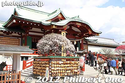 Sugawara Michizane is closely associated with plum blossoms because he once wrote a poem for his beloved plum blossoms that "flew through the air" (飛梅) to follow him when he was exiled to Dazaifu in Fukuoka.
Keywords: tokyo koto-ku kameido tenmangu tenjin shrine jinja plum blossoms ume flowers