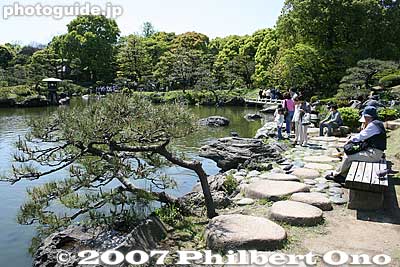 Many matsu pine trees and many stones.
Keywords: tokyo koto-ku ward kiyosumi teien gardens pond pine tree matsu