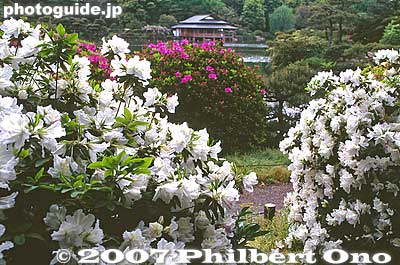 Keywords: tokyo koto-ku ward kiyosumi teien gardens pond azalea flowers teahouse