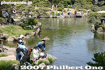 Keywords: tokyo koto-ku ward kiyosumi teien gardens pond pine tree matsu stones