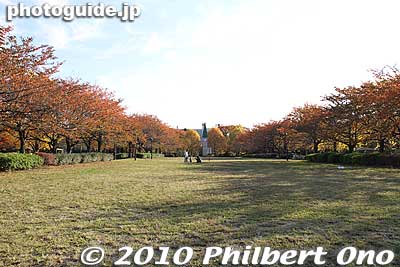 In Nov.-Dec., the fall leaves turn color.
Keywords: tokyo koto-ku sarue onshi park autumn leaves foliage