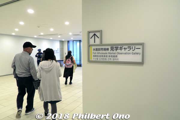 Directional signs for tourists are in Japanese, English, Chinese, and Korean.
Keywords: tokyo koto-ku ward toyosu market