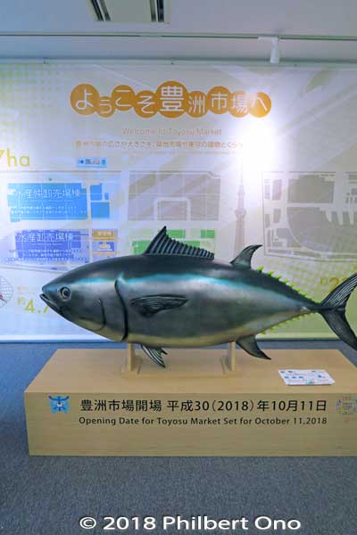 Tuna display in the small exhibition room in Block 7.
Keywords: tokyo koto-ku ward toyosu market