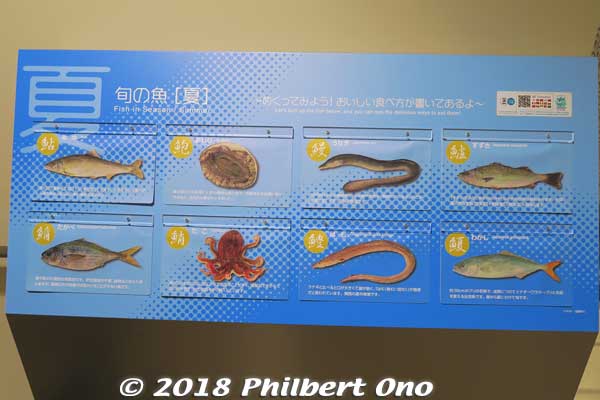 Also in the corridor, bilingual explanatory panels for identifying fish.
Keywords: tokyo koto-ku ward toyosu market