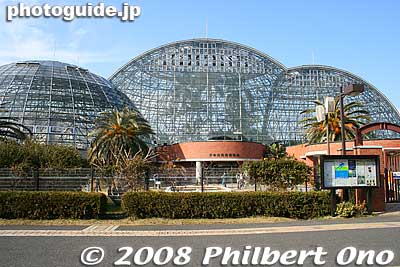 This is the Yumenoshima Tropical Greenhouse Dome (夢の島熱帯植物館) opened in 1988.
Keywords: tokyo koto-ku Yumenoshima tropical plants greenhouse