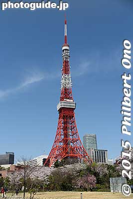 Tokyo Tower from Shiba Park.
Keywords: tokyo minato-ku shiba koen park tokyotower