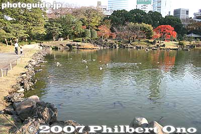 Keywords: tokyo minato-ku ward kyu shiba rikyu garden trees pond