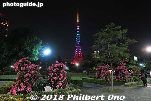Tokyo Tower lit up as seen from Shiba Park at night.
Keywords: tokyo minato-ku tower shiba park