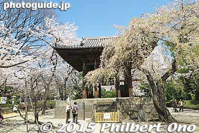 Daibonsho temple bell
Keywords: minato-ku tokyo zojoji jodo-shu Buddhist temple