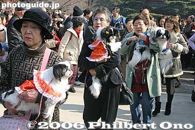 Their year in 2006.
Keywords: minato-ku tokyo zojoji jodo-shu Buddhist temple setsubun dog