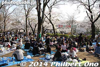 Huge crowd of hanami picnickers on a weekday.
Keywords: tokyo mitaka kichijoji inokashira park pond cherry blossoms sakura flowers hanami