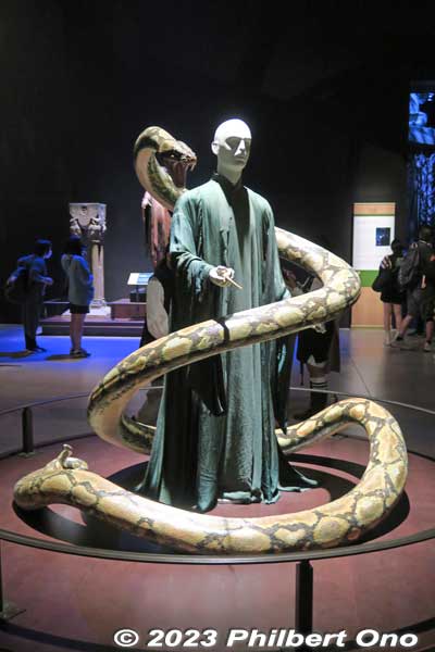 Voldemort, The Dark Lord, and his snake Nagini. Each time one of his Horcruxes was destroyed, his greenish robe would fade in color (Deathly Hallows).
