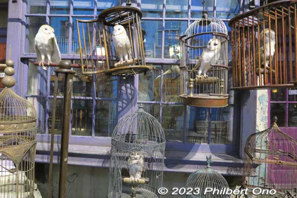 Owls for sale at Diagon Alley.
Keywords: Tokyo Nerima Warner Bros. Harry Potter Studio Tour