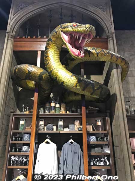Studio Shop rooms guarded by Voldemort’s snake Nagini.
