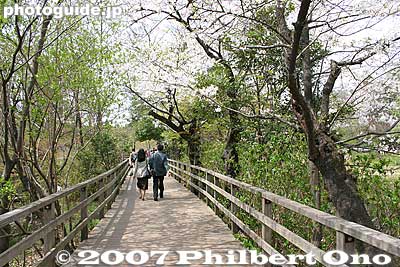 Trail to the other end of the park.
Keywords: tokyo nerima-ku ward shakujii koen park