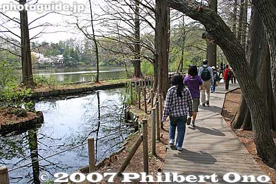 There is a walking path around the entire park with two ponds.
Keywords: tokyo nerima-ku ward shakujii koen park pond