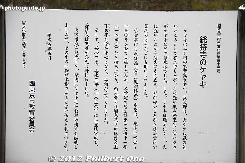 About the keyaki cypress tree at Sojiji.
Keywords: tokyo nishitokyo tanashi sojiji temple