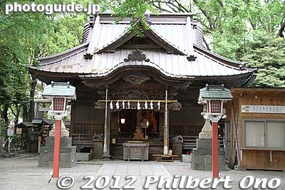 Tanashi Shrine is dedicated to Ookuni Nushi-no-Mikoto. 大国主命（おおくにぬしのみこと）in Nishi-Tokyo, Tokyo.
Keywords: tokyo nishitokyo tanashi jinja japanshrine