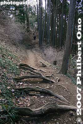 Keywords: tokyo ome mitakesan mt. mitake mountain hike hiking