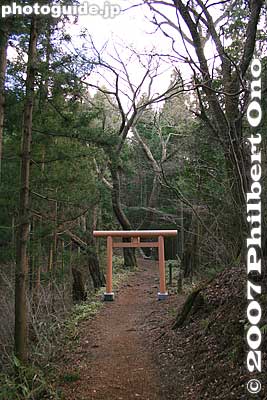 Torii
Keywords: tokyo ome mitakesan mt. mitake mountain hike hiking torii