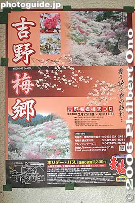 Although still small, the replanted plum trees have been flowering. and the groves have reopened to the public. Yoshino Baigo poster. Yoshino Baigo is a small town in Ome city near Hinata-Wada Station.
Keywords: tokyo ome plum blossom ume no sato flower