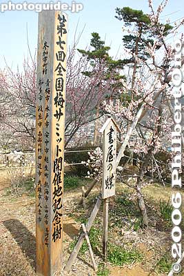 Marker commemorating a "Plum Summit" held in Ome by representatives of cities well-known for plum blossom gardens, such as Mito, Ibaraki; Atami, Kanagawa; and Annaka, Gunma.
Keywords: tokyo ome plum blossom ume no sato flower