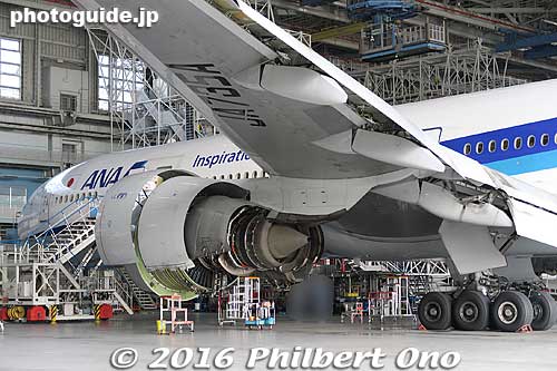 Always impressive to see a jet plane up close. We see it only on the outside, cannot go inside the plane.
Keywords: tokyo ota-ku haneda airport ANA maintenance facility planes boeing jets