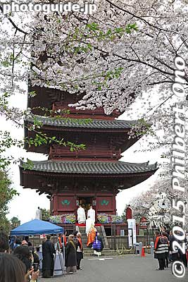 Keywords: tokyo ota-ku ikegami honmonji temple buddhist nichiren