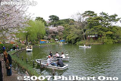 Keywords: tokyo ota-ku senzoku-ike pond boat sakura cherry blossoms