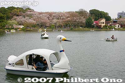 The pond is also depicted in woodblock prints such as by Hiroshige.
Keywords: tokyo ota-ku senzoku-ike pond boat sakura cherry blossoms japanpark japanpond