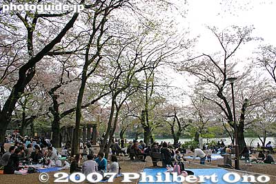 Sakurayama with hanami pinickers.
Keywords: tokyo ota-ku senzoku-ike cherry blossoms sakura hanami pond