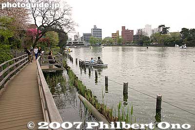 This is where the path around the lake ends.
Keywords: tokyo ota-ku senzoku-ike pond boat sakura cherry blossoms