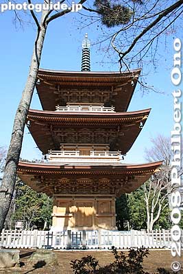 Three-story pagoda, recently built.
Keywords: tokyo setagaya-ku ward gotokuji buddhist zen soto-shu temple pagoda