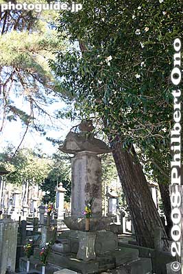 Tree of white camellias grow about Lord Ii Naosuke's grave.
Keywords: tokyo setagaya-ku ward gotokuji buddhist zen soto-shu temple cemetery graves tombs tombstone graveyard ii clan naosuke