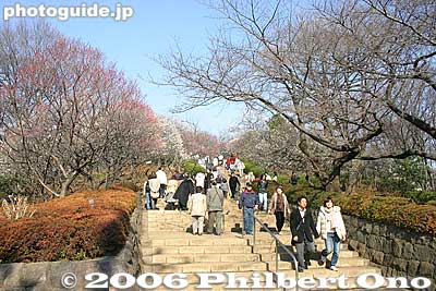 Entrance to Hanegi Park's plum grove
Keywords: tokyo setagaya-ku umegaoka plum blossoms park
