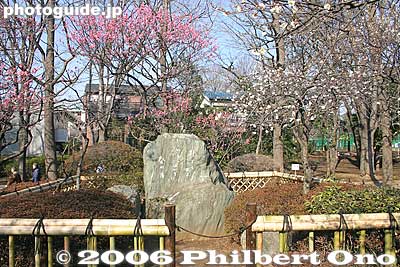 Stone monument for "Haru no Tsuki" haiku poem by Nakamura Teijo. 「春の月」中村汀女
Keywords: tokyo setagaya-ku umegaoka plum blossoms park