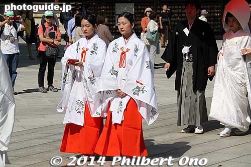 Shrine maidens (miko)
Keywords: tokyo shibuya-ku meiji shrine shinto wedding