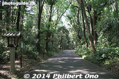 Path to the park area.
Keywords: tokyo shibuya-ku meiji shrine shinto