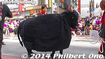 Tokunoshima is famous for bullfighting.
Keywords: tokyo shibuya kagoshima ohara matsuri dancers festival