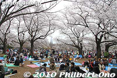 It's crowded under them trees, and pretty noisy.
Keywords: tokyo shibuya-ku ward yoyogi park sakura cherry blossoms flowers spring