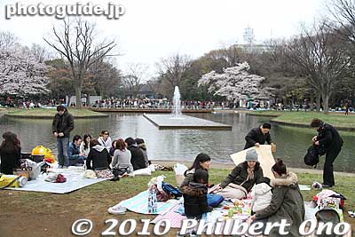 Yoyogi Park's pond and fountain.
Keywords: tokyo shibuya-ku ward yoyogi park sakura cherry blossoms flowers spring