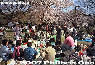 Cherry blossom pinickers from Hawaii at Yoyogi Park, Tokyo. They are playing the ukulele and dancing hula.
Keywords: tokyo shibuya-ku ward yoyogi park sakura cherry blossoms flowers spring japanharu